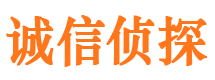 漠河侦探公司